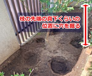 施肥 庭木にやさしい肥料の与え方とおすすめの時期 お庭から始まる豊かなグリーンライフ 庭サポ