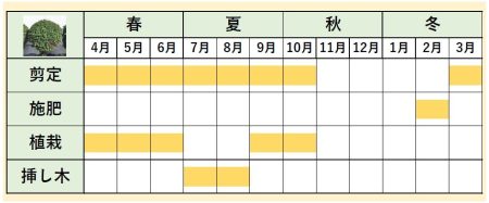 イヌツゲカレンダー