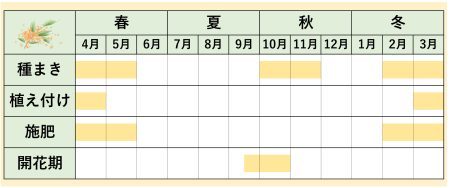 キンモクセイカレンダー1