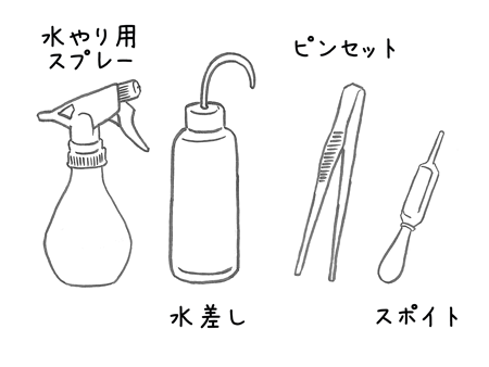 初心者でもトライしやすい 苔リウム クイック ガーデニングの 庭サポ