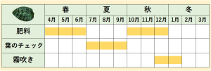 年間スケジュール