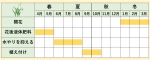 年間スケジュール_スノードロップ