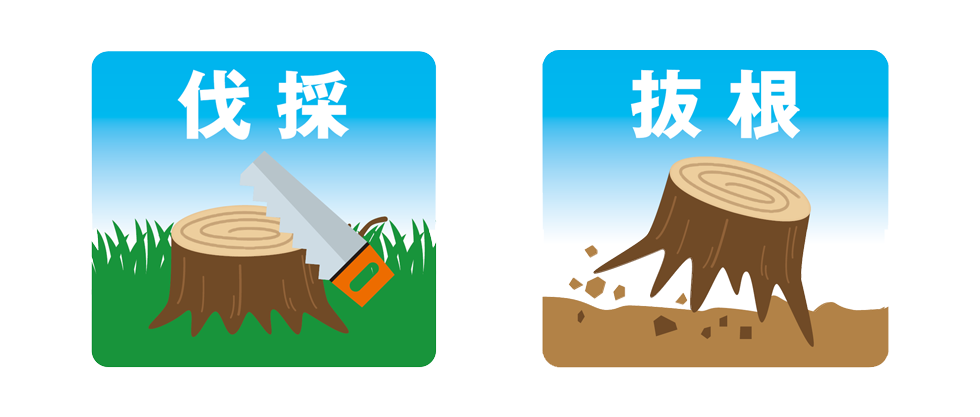 栃木県の植木屋,庭木の伐採,伐根