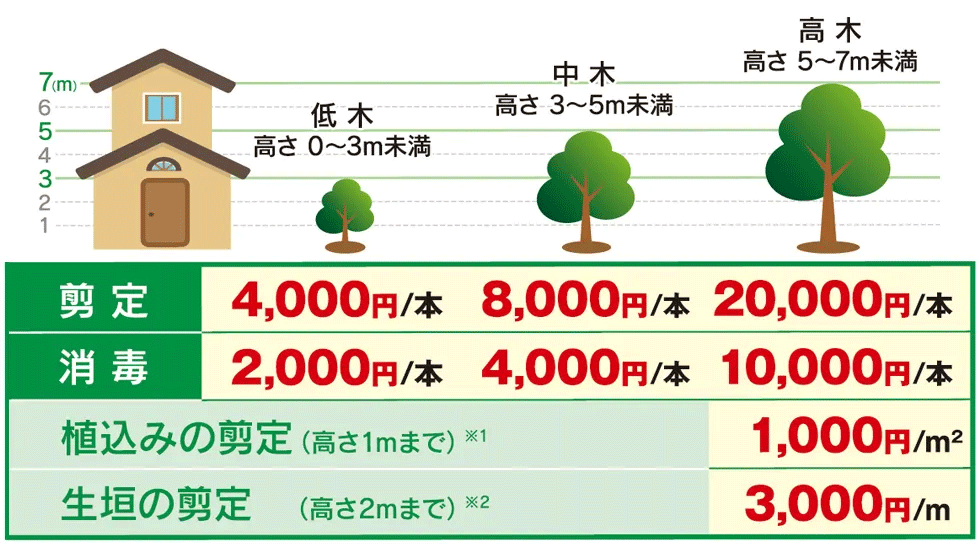 茨城県の植木屋,庭木の高さ目安と作業料金