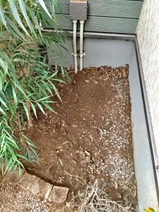 剪定、伐採、抜根