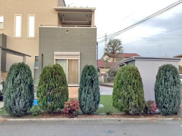 剪定、伐採、抜根After