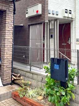 伐採After