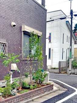 剪定After