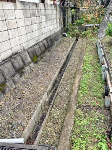 剪定、伐採、除草After