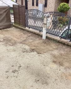 伐採