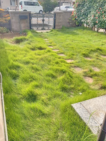 生垣のお手入れ、除草・草むしりBefore