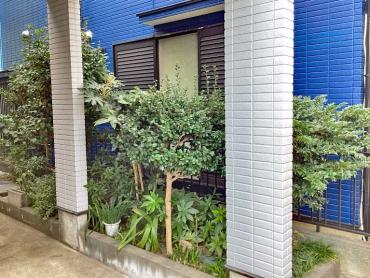 剪定、伐採Before