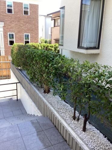 生垣のお手入れ、砂利敷きAfter