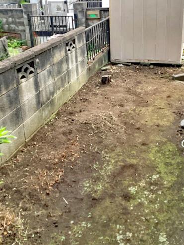 除草、生垣、伐採After