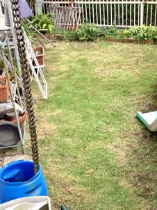 伐採、除草、芝刈り