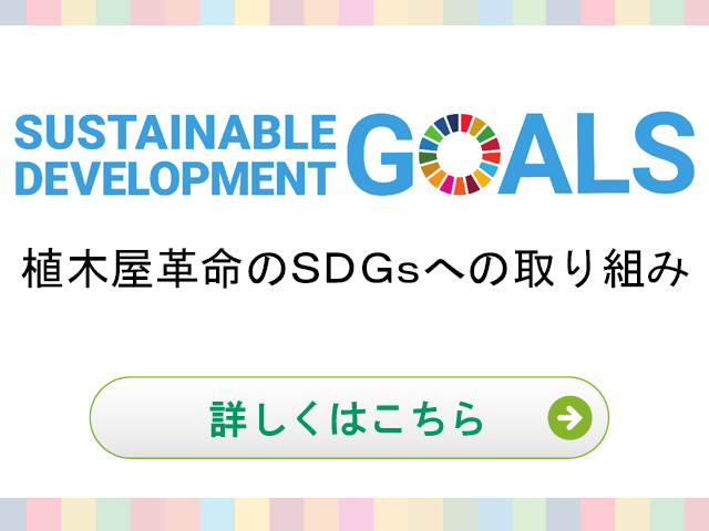 植木屋革命 庭木のお手入れ 剪定 伐採はクイック ガーデニングへ