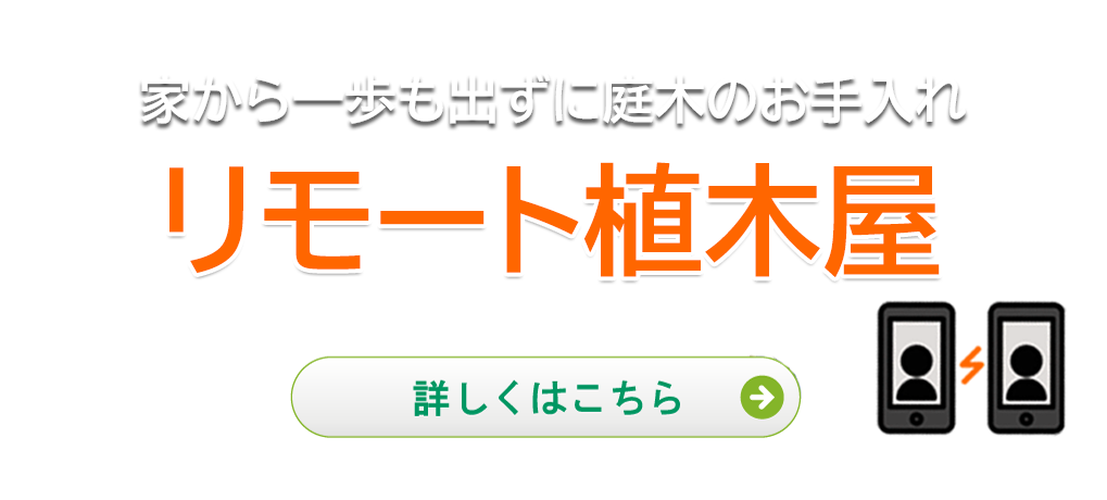 植木屋革命 庭木のお手入れ 剪定 伐採はクイック ガーデニングへ