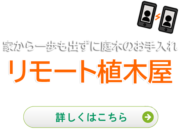 植木屋革命 庭木のお手入れ 剪定 伐採はクイック ガーデニングへ