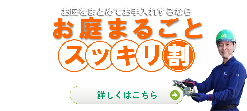 植木屋革命 庭木のお手入れ 剪定 伐採はクイック ガーデニングへ