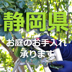 静岡県の植木屋｜剪定・伐採・お庭のお手入れは植木屋革命