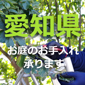 愛知県の植木屋｜剪定・伐採・お庭のお手入れは植木屋革命