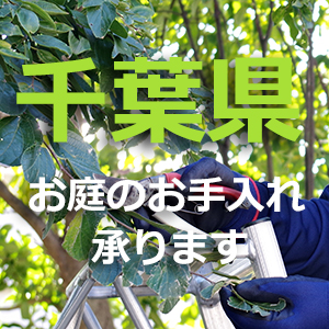 千葉県の植木屋｜剪定・伐採・お庭のお手入れは植木屋革命