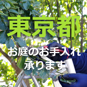 東京都の植木屋｜剪定・伐採・お庭のお手入れは植木屋革命