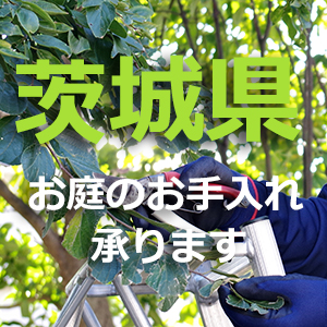 茨城県の植木屋｜剪定・伐採・お庭のお手入れは植木屋革命