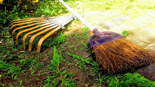 庭掃除の道具