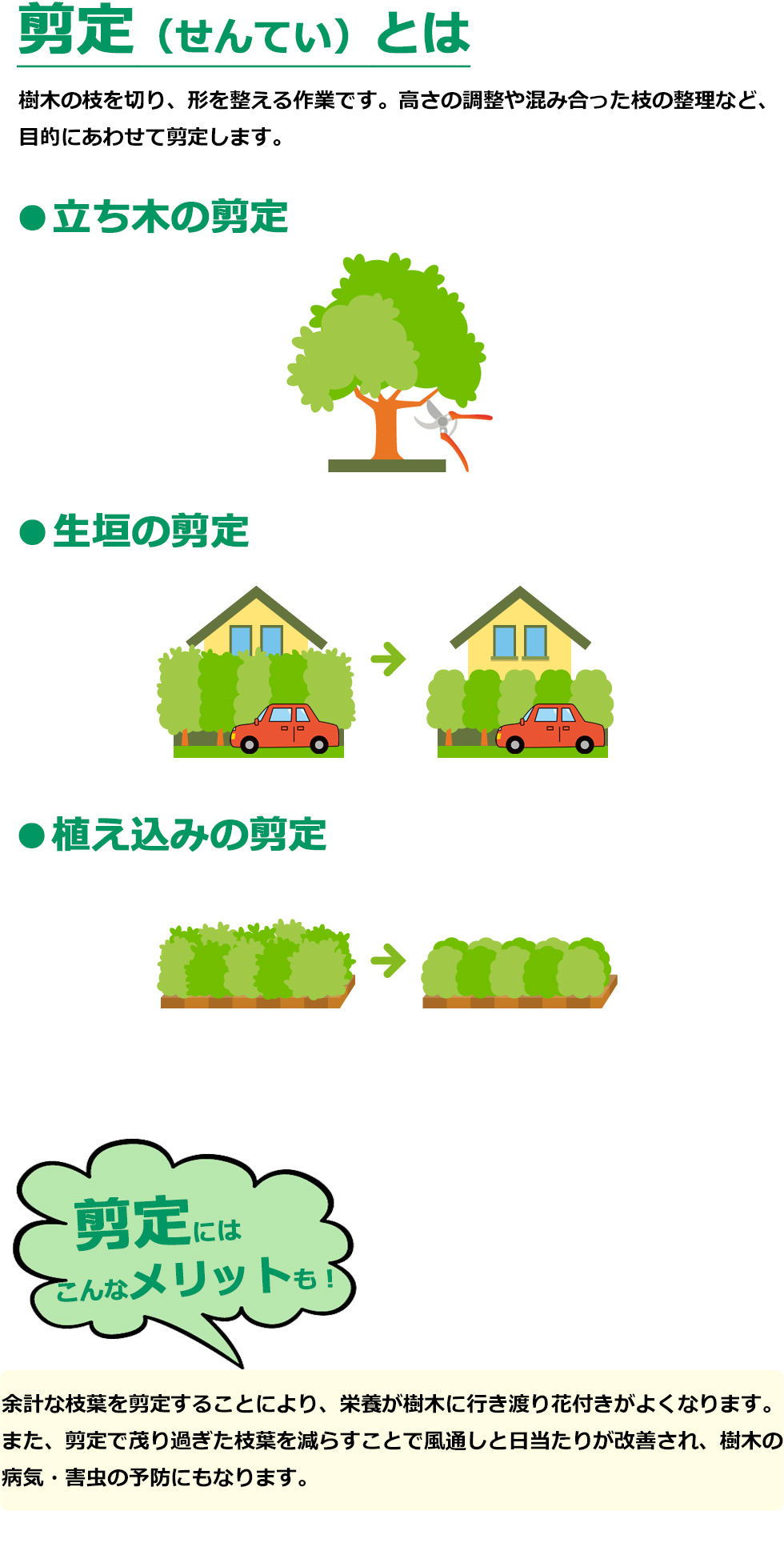 愛車を守るお庭対策「剪定」見出し画像2