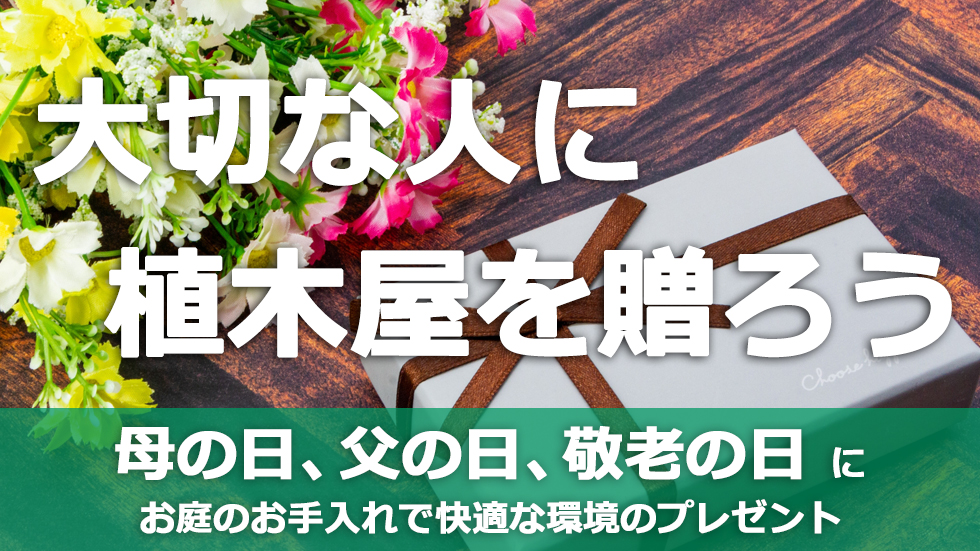 母の日,父の日,敬老の日,ギフト,珍しい,大事な人への贈り物。『 植木屋 』をプレゼントしませんか？