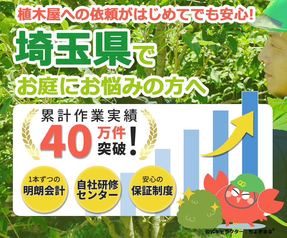 埼玉県の植木屋,庭木,剪定,伐採,除草,草刈り,草むしり埼玉県,さいたま市,川越市,熊谷市,川口市,,植木屋革命,クイックガーデニング