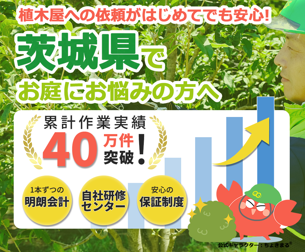 茨城県の植木屋,水戸市,日立市,土浦市,古河市,庭木,剪定,伐採,除草,草刈り,草むしり,植木屋革命,クイックガーデニング