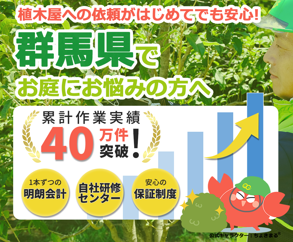 群馬県の植木屋,庭木,剪定,伐採,除草,草刈り,草むしり,植木屋革命,群馬県,前橋市,高崎市,桐生市,伊勢崎市,太田市,沼田市,館林市,渋川市,藤岡市,富岡市,安中市,みどり市,北群馬郡,佐波郡