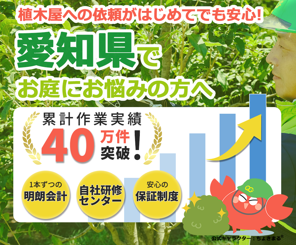 愛知県の植木屋, 愛知県,名古屋市,豊橋市,岡崎市,一宮市,瀬戸市,庭木,剪定,伐採,除草,草刈り,草むしり,植木屋革命,クイックガーデニング