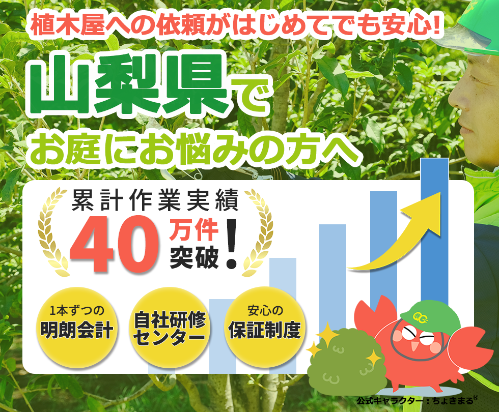 山梨県の植木屋,庭木,剪定,伐採,除草,草刈り,草むしり,甲府市,富士吉田市,大月市,韮崎市,南アルプス市,植木屋革命,クイックガーデニング