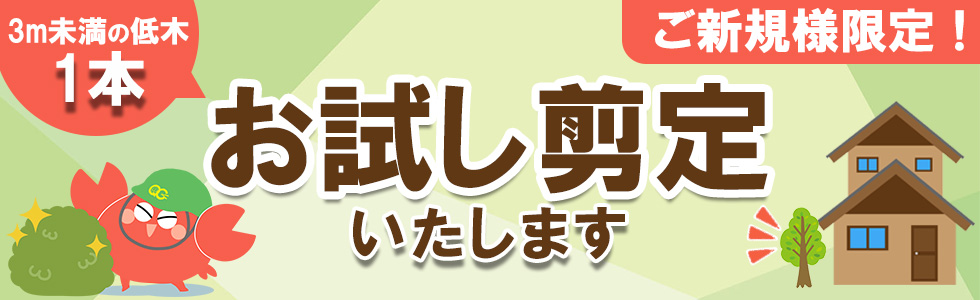 【ご新規様限定】1本お試し剪定実施中メイン画像