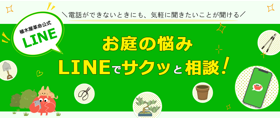 LINE公式アカウントはじめましたメイン画像