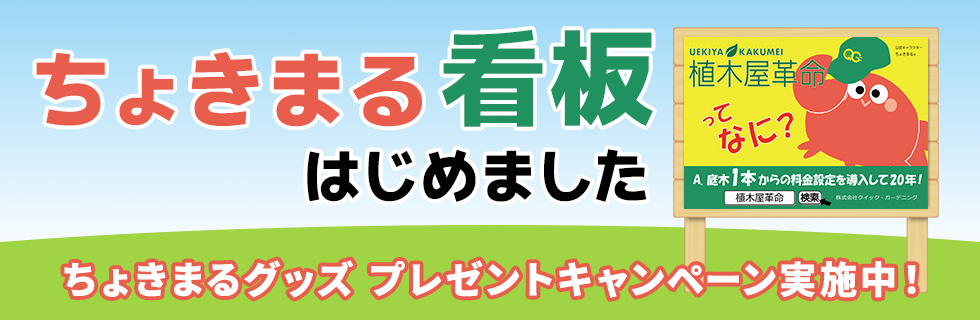 ちょきまる看板はじめました