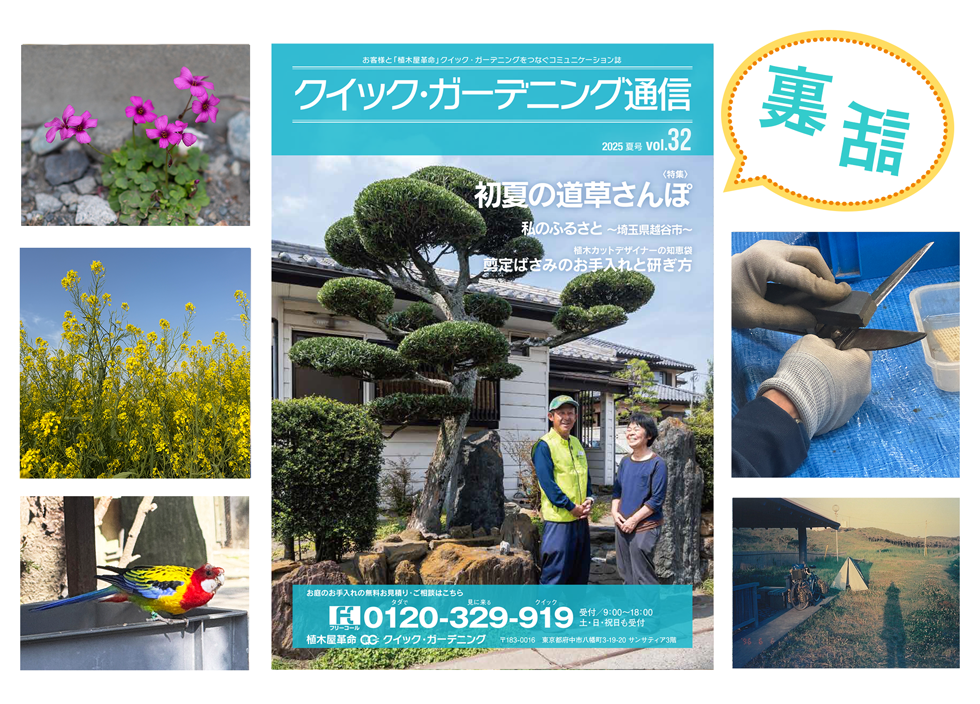 クイック・ガーデニング通信の編集裏話【2025年夏号】メイン画像