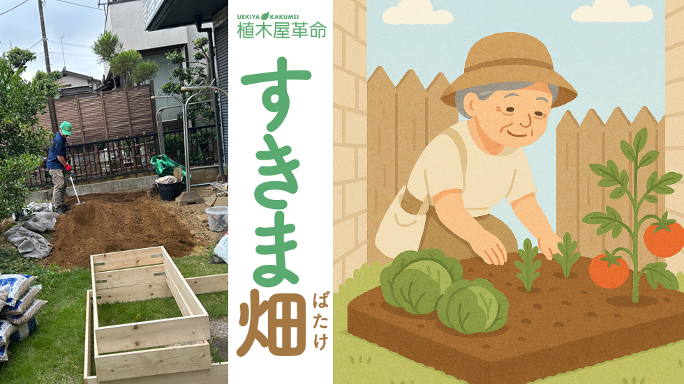 「すきま畑」のある暮らし