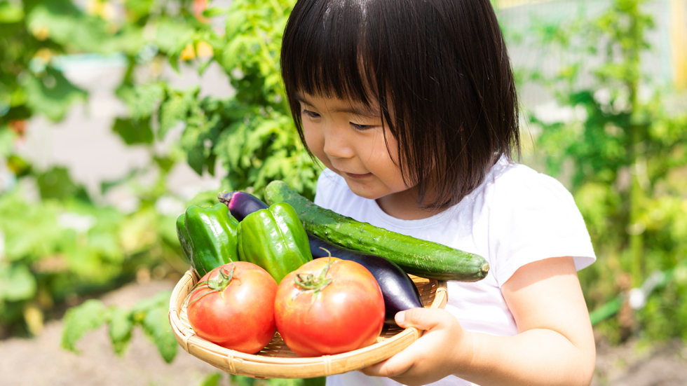 暮らしをちょっと豊かにする「すきま畑」