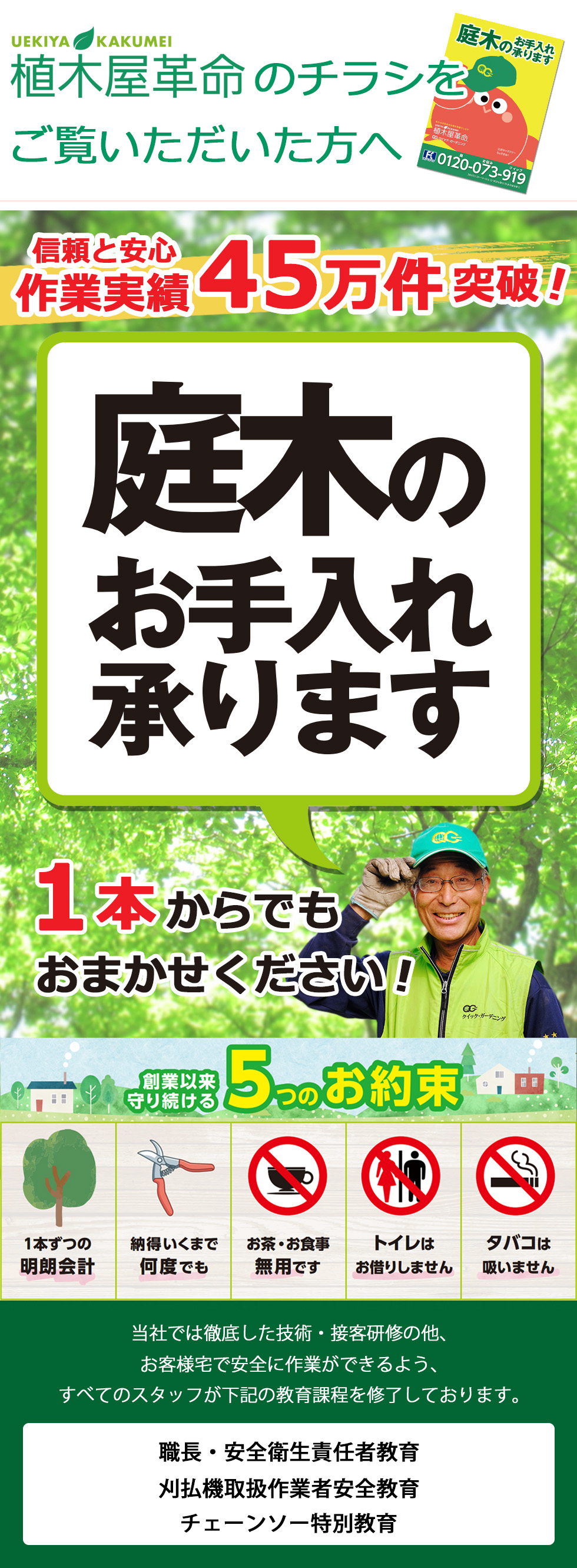 植木屋,チラシ,東京都,神奈川県,埼玉県,千葉県,茨城県,群馬県,栃木県,山梨県,静岡県,愛知県,庭木,剪定,伐採,除草,草刈り,草むしり,植木屋革命,クイックガーデニング