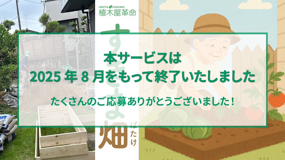 「すきま畑」のある暮らし