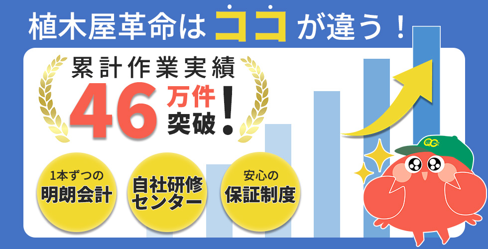 植木屋革命はココが違う!