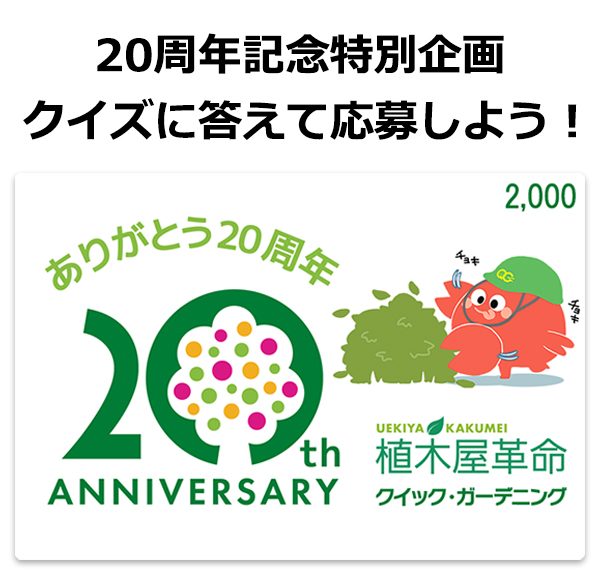 【20周年記念特別企画】QUOカードPay2,000円分が当たる！