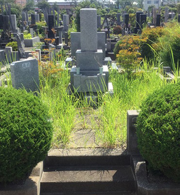 お墓のお手入れBefoer