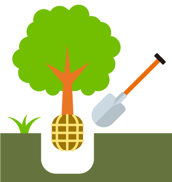 植栽・移植イメージ